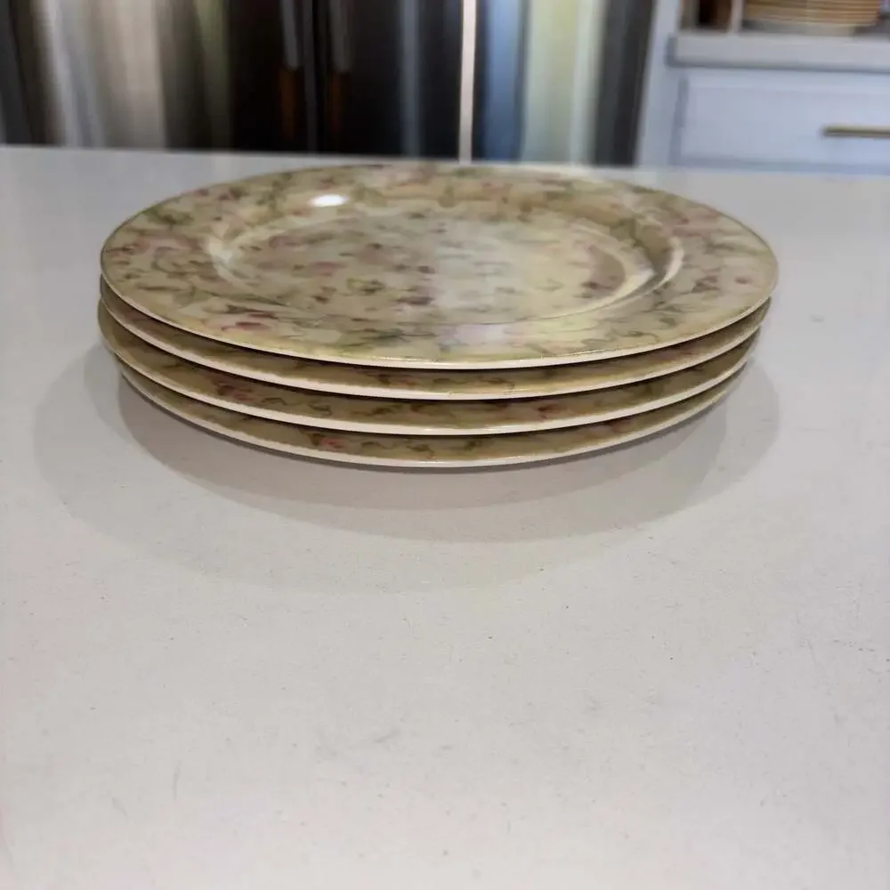 222 Fifth Savannah by Cheri Blum Stoneware Salad Plates Set of 4